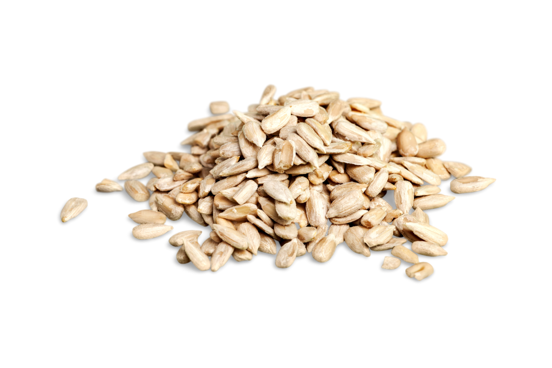 SEMI DI GIRASOLE – Selezione Premium