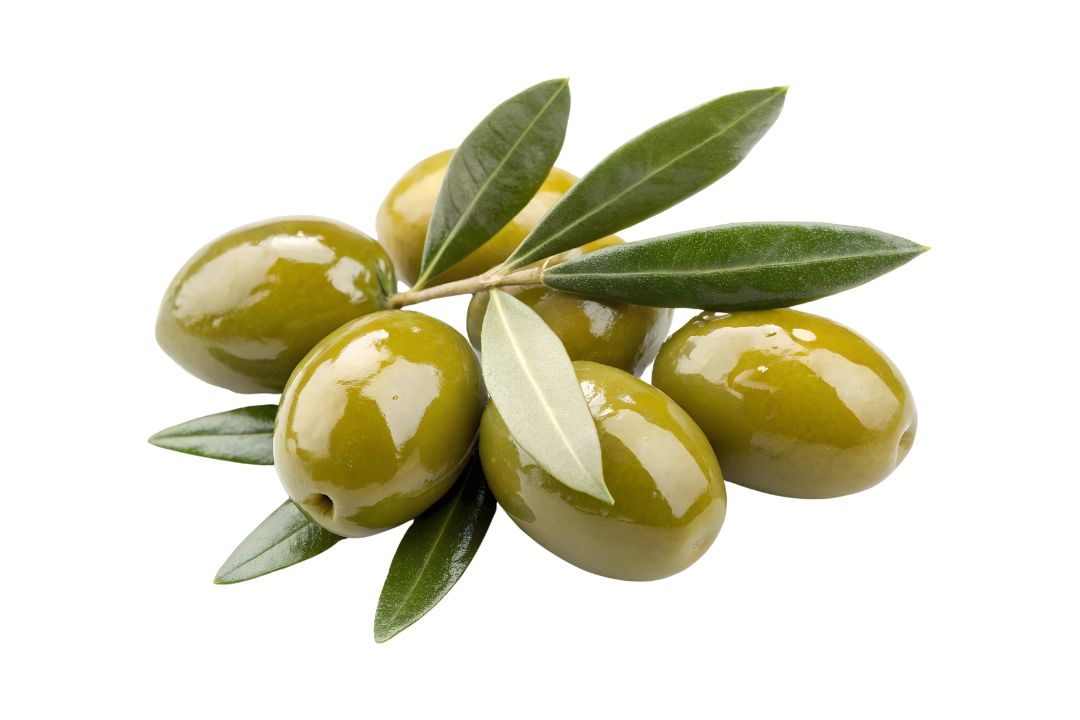 OLIVE VERDI