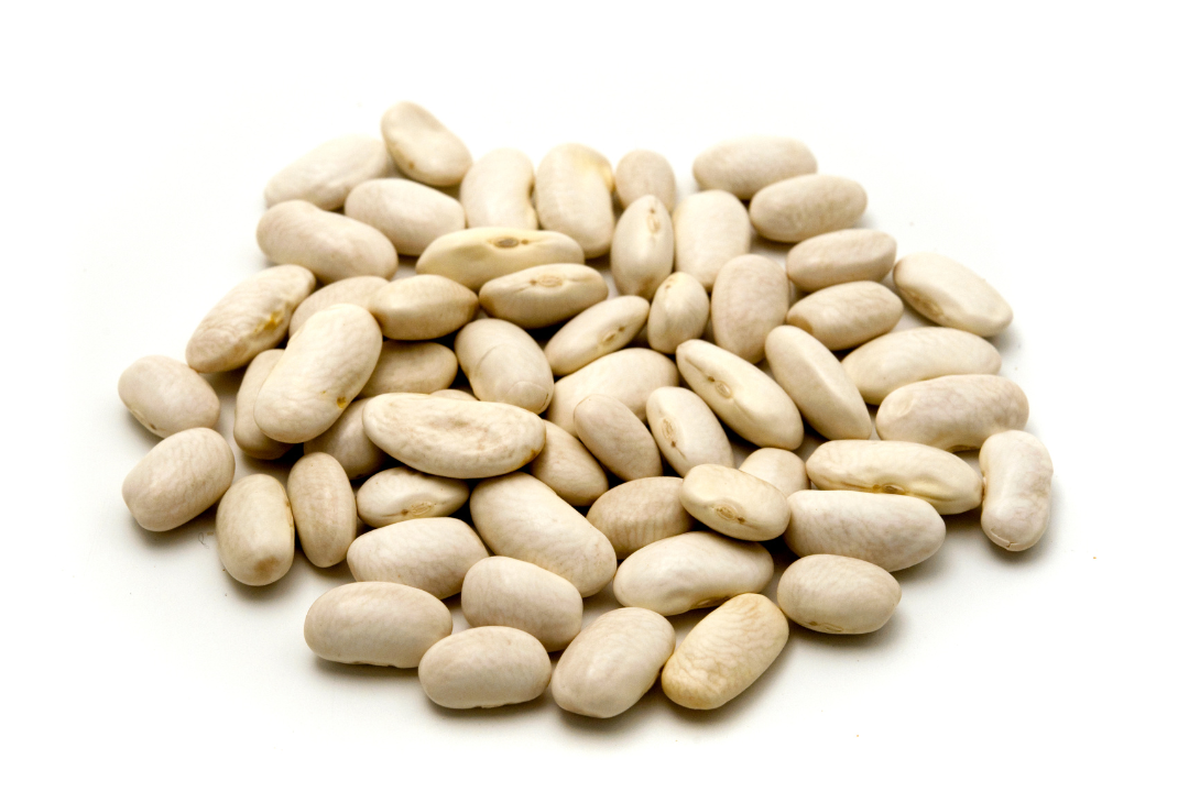 FAGIOLI – Selezione Premium