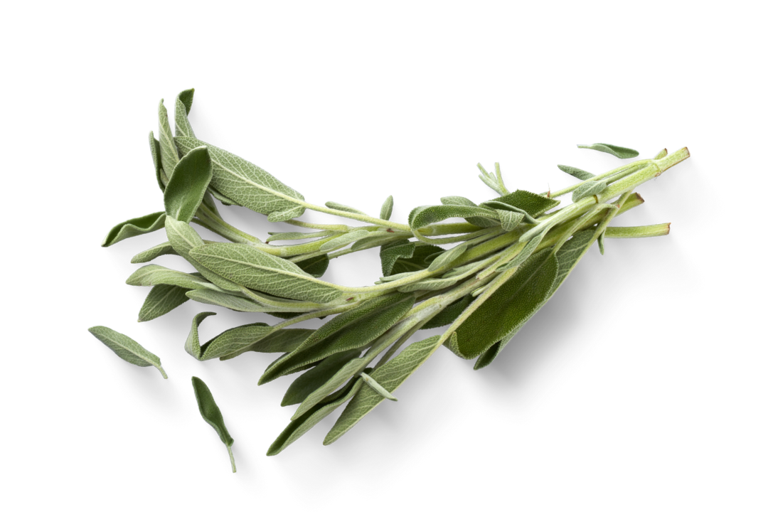 SALVIA – 30 g