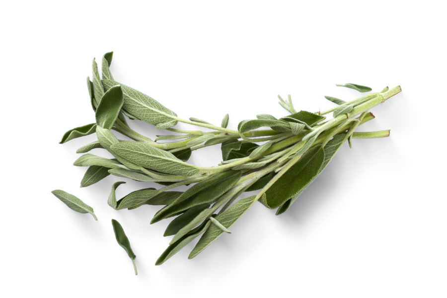 SALVIA – 30 g