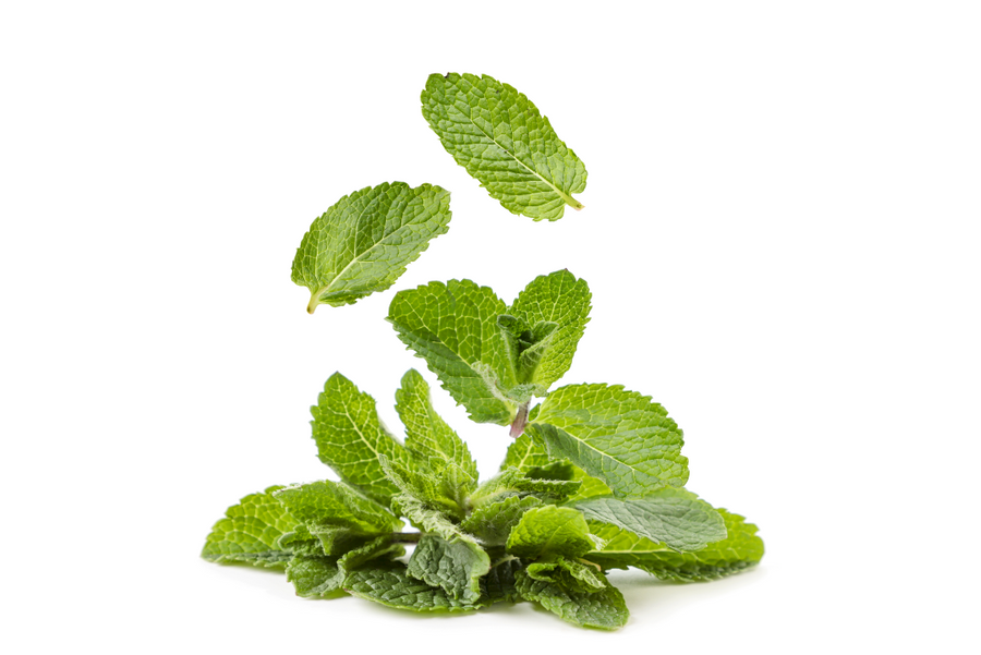 MENTA MACINATA – 30 g