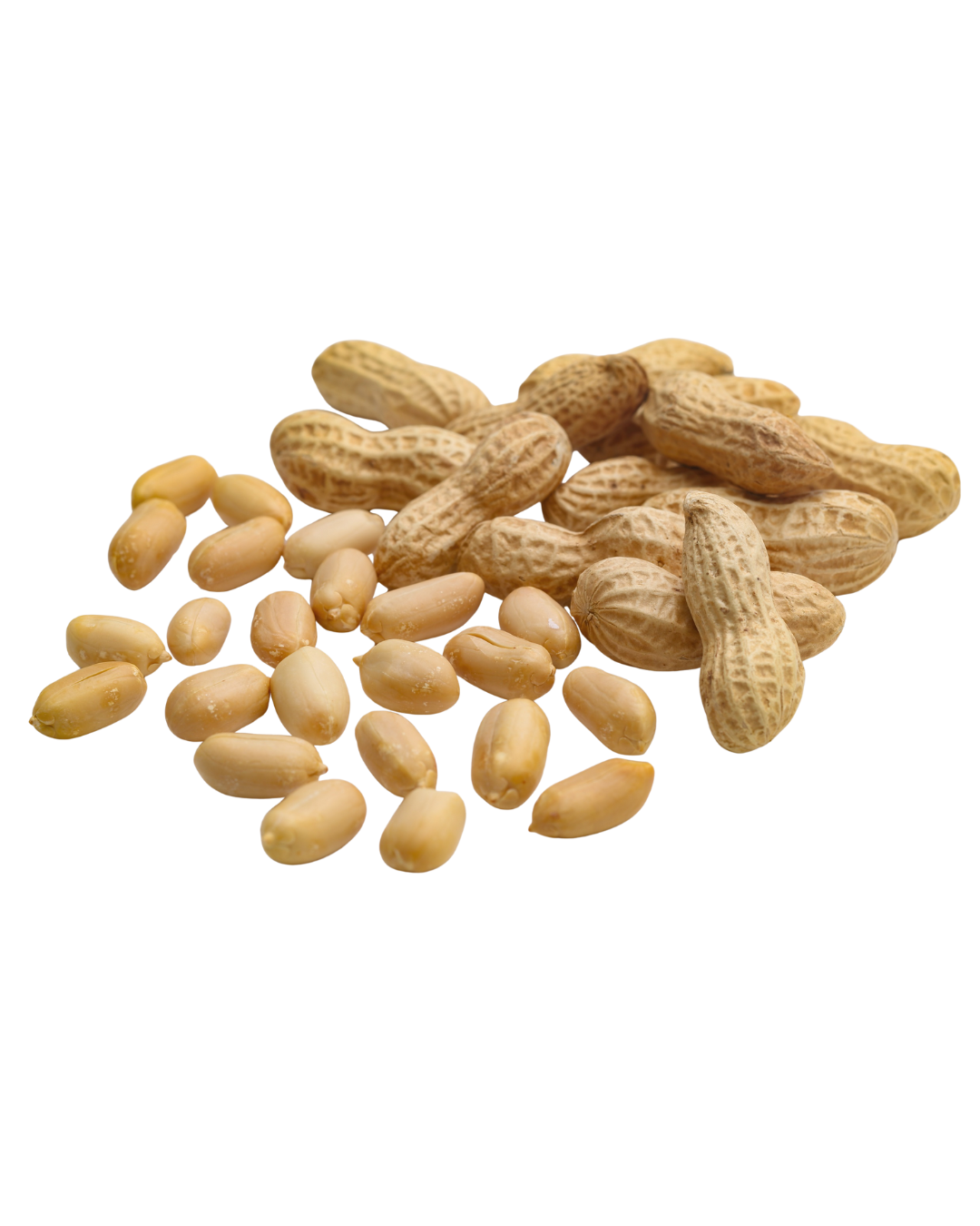 Arachidi Premium – 4 Tipologie Disponibili