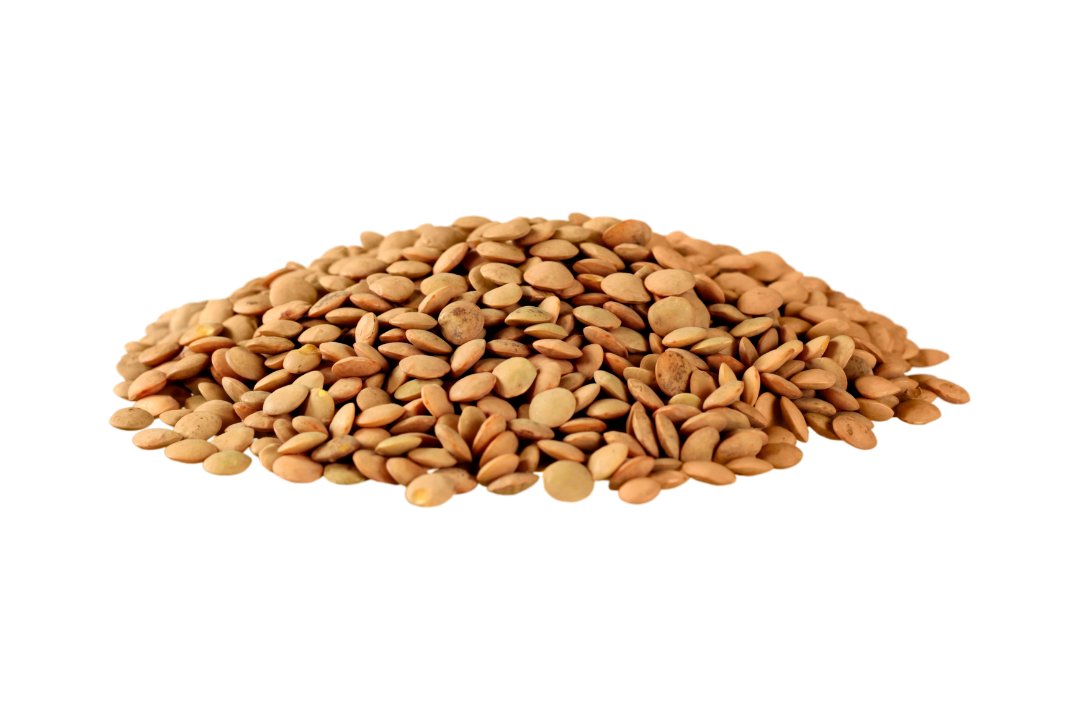 LENTICCHIE – Selezione Premium