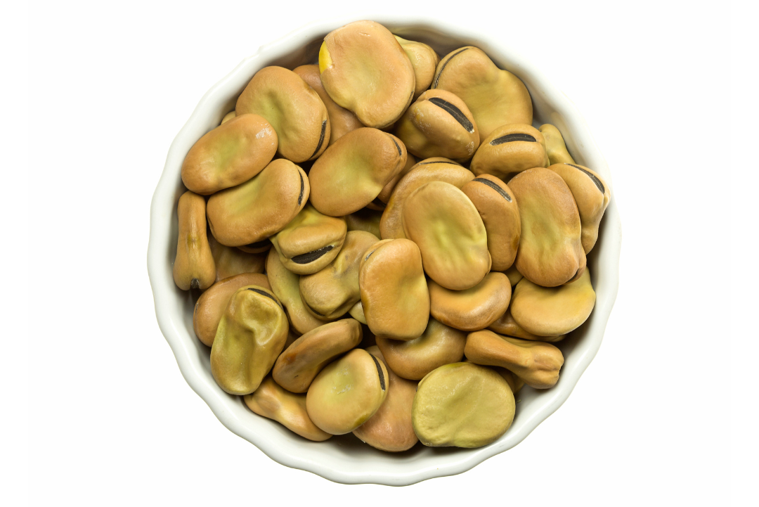 FAVE – Selezione Premium