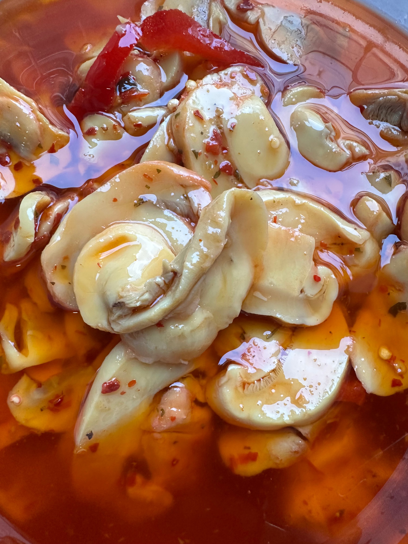 FUNGHI SOTT’OLIO