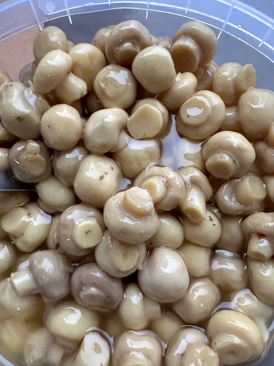 FUNGHI SOTT’OLIO