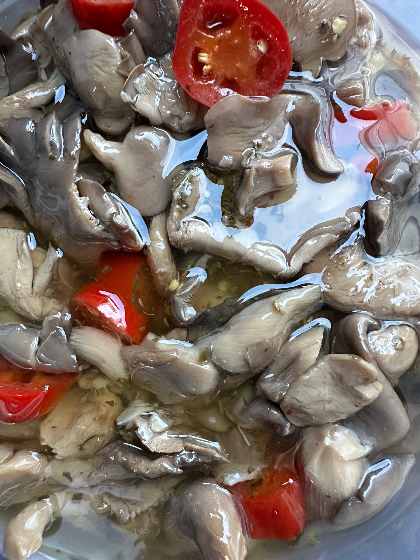 FUNGHI SOTT’OLIO