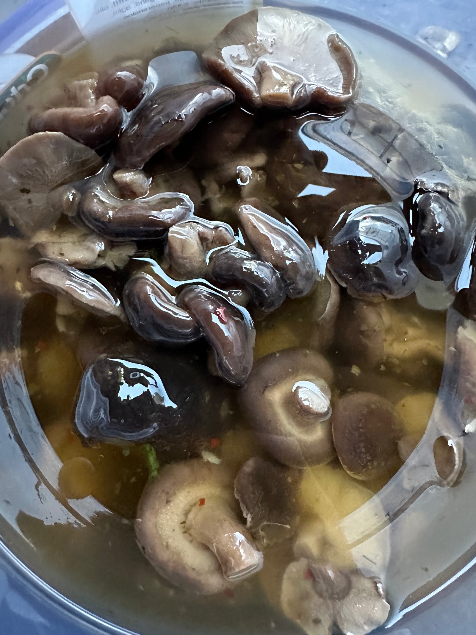 FUNGHI SOTT’OLIO