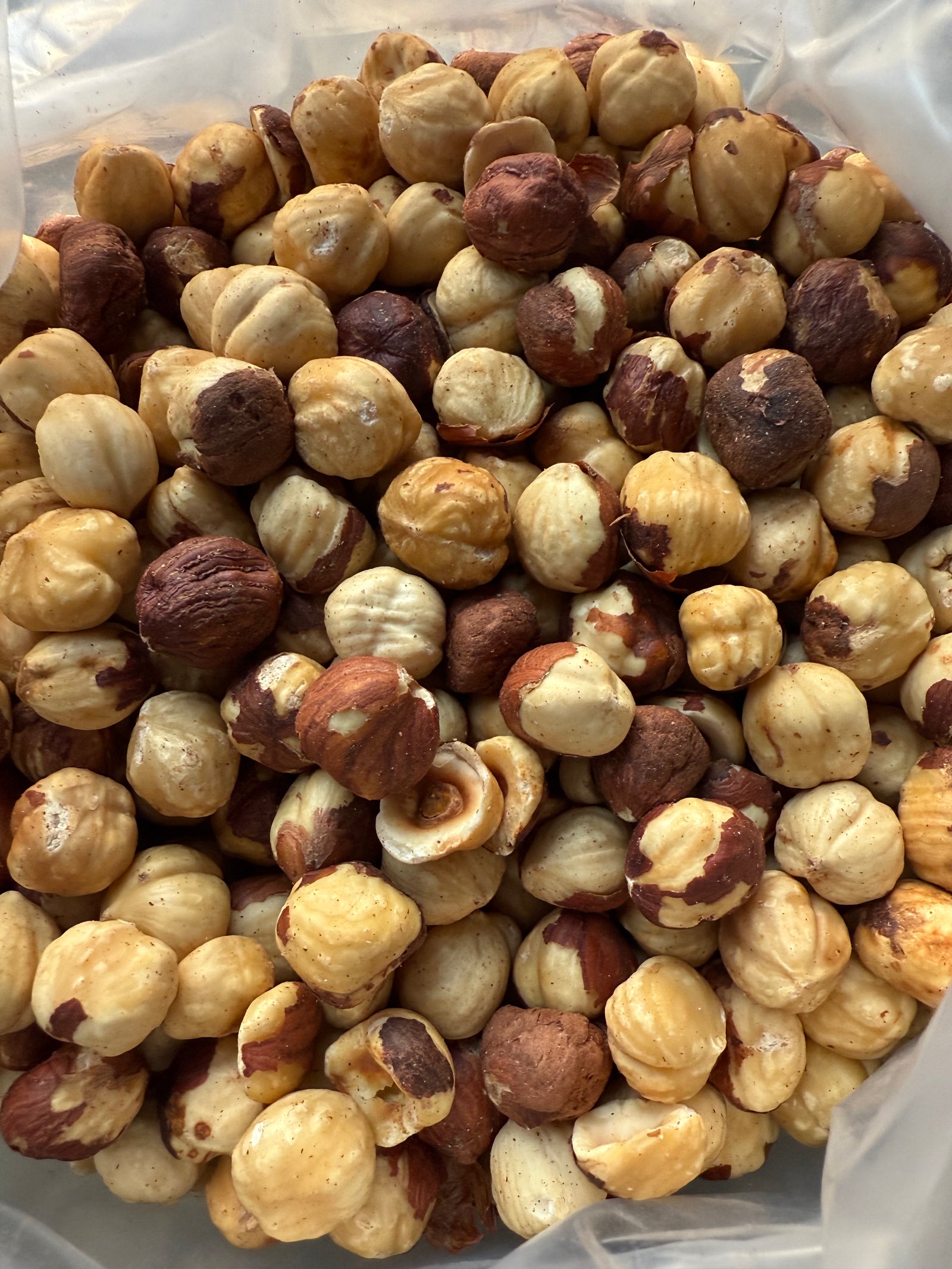 NOCCIOLE