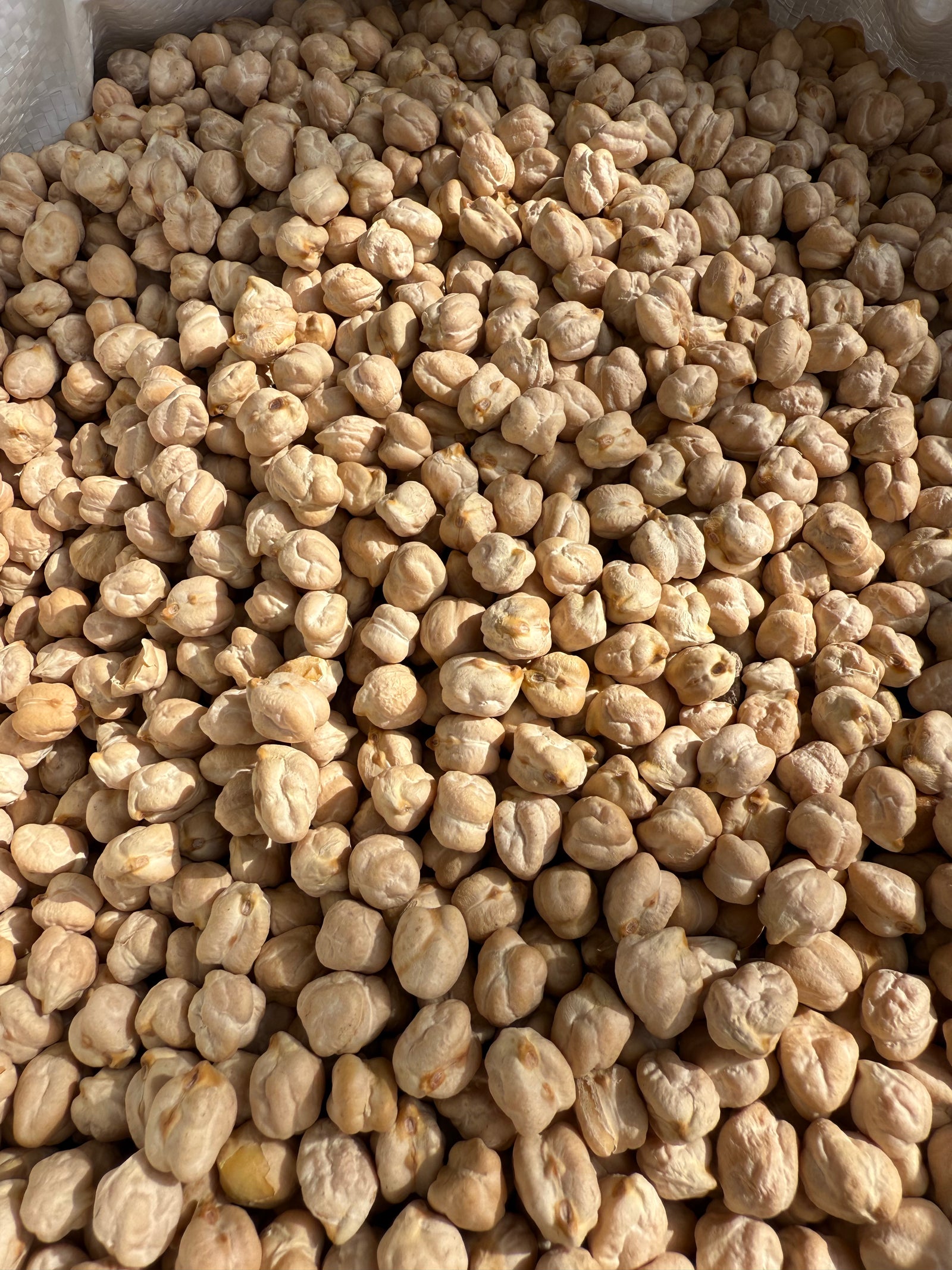CECI