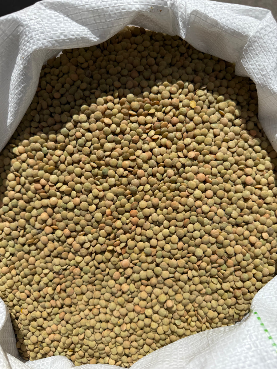 LENTICCHIE