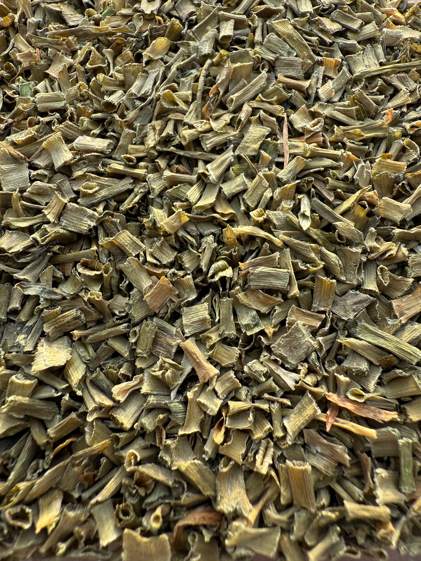 ERBA CIPOLLINA – 30 g