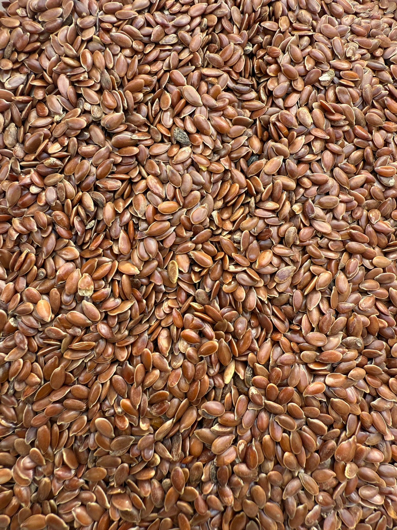 SEMI DI LINO