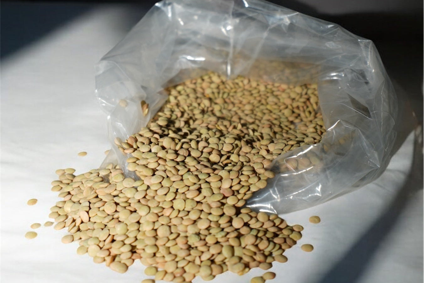 LENTICCHIE – Selezione Premium