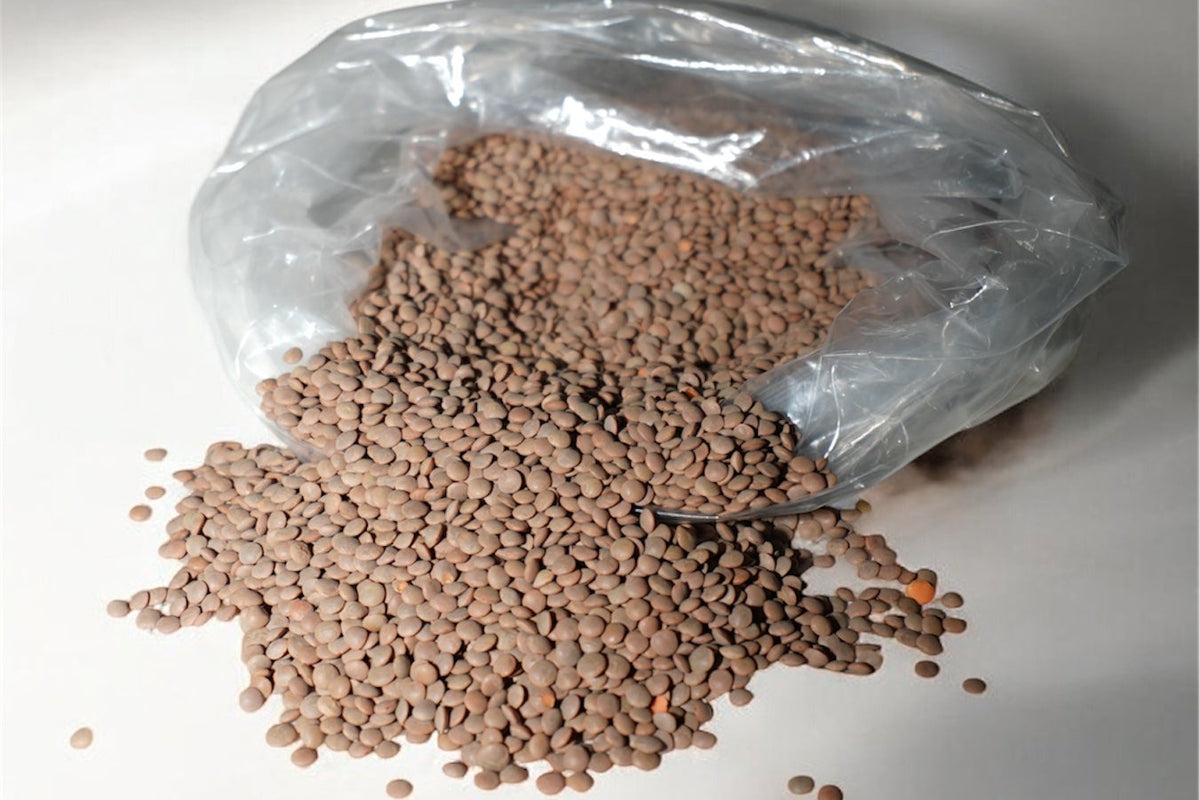 LENTICCHIE