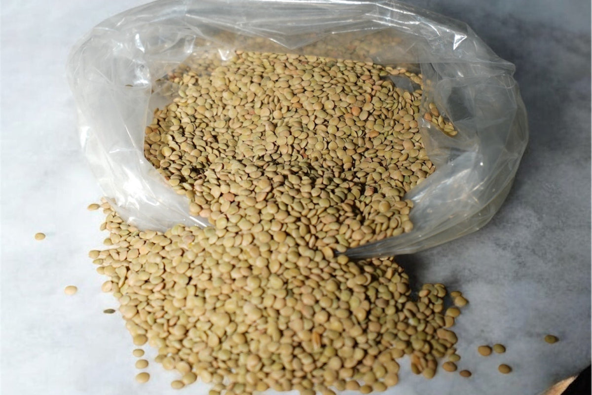 LENTICCHIE