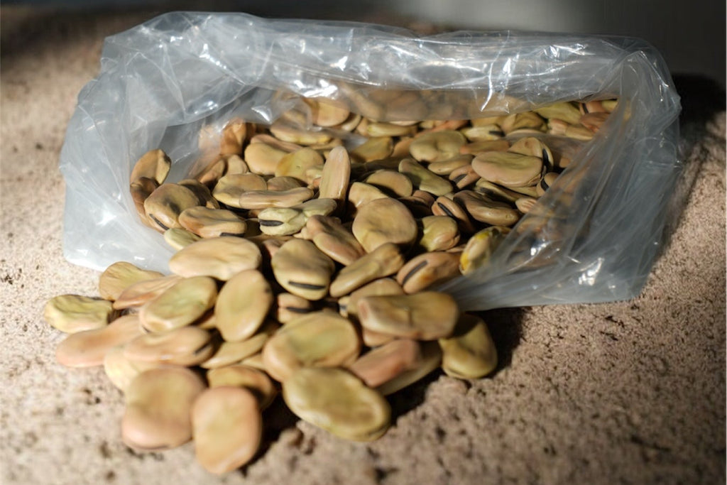 FAVE – Selezione Premium