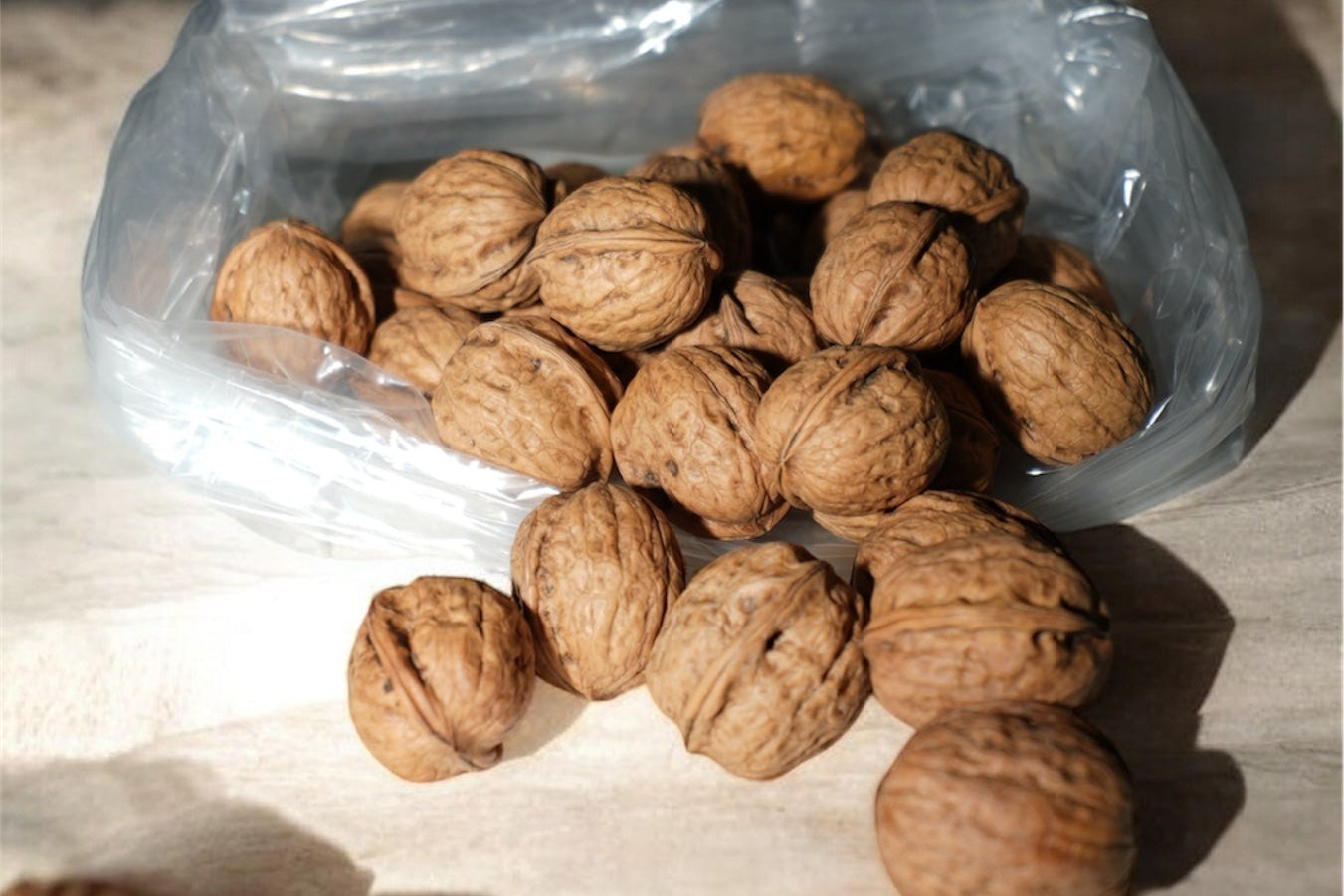 NOCI – Selezione Premium